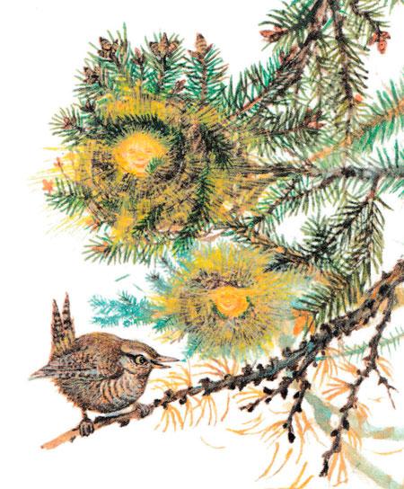 Подкоренник