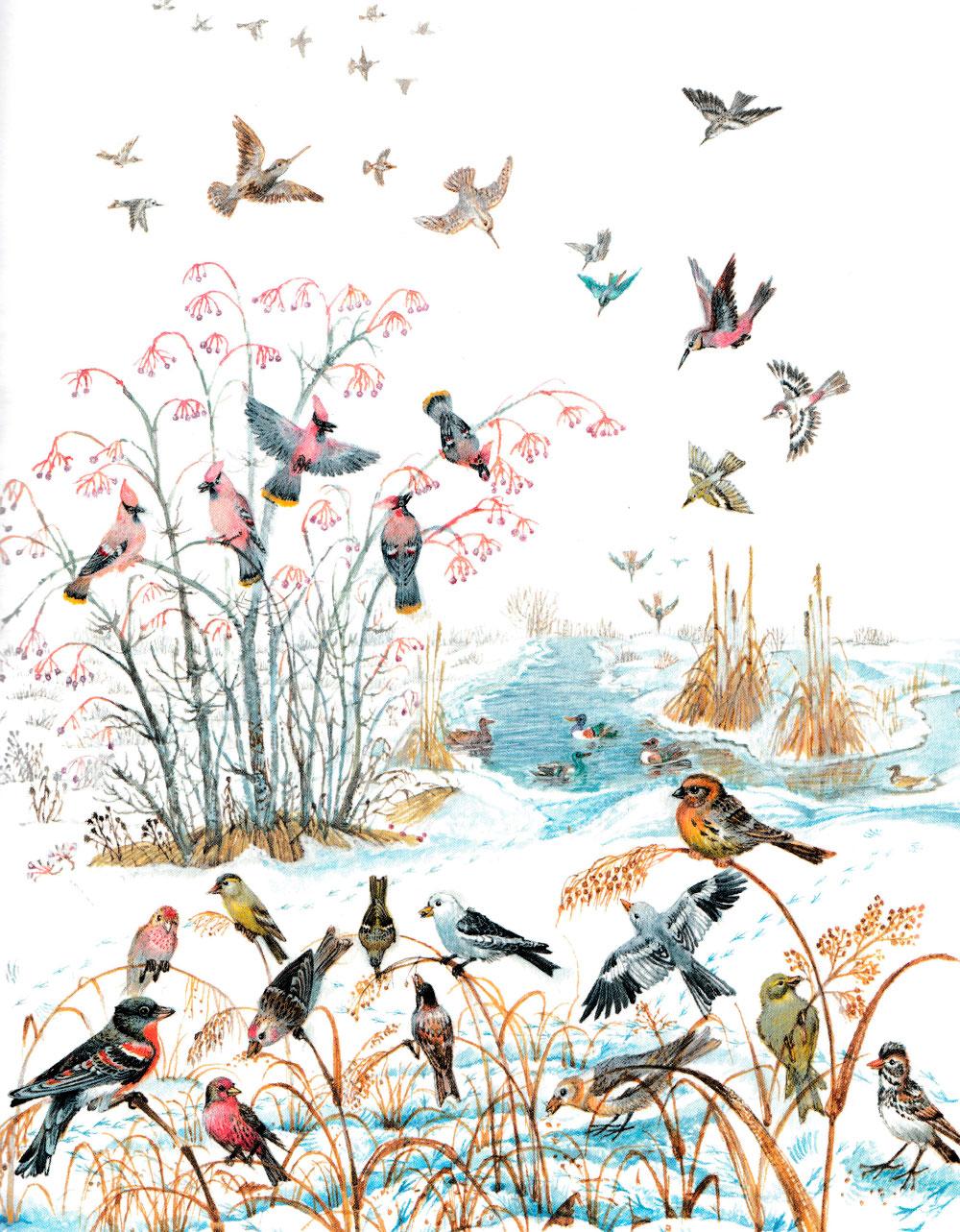 Птицы зимой