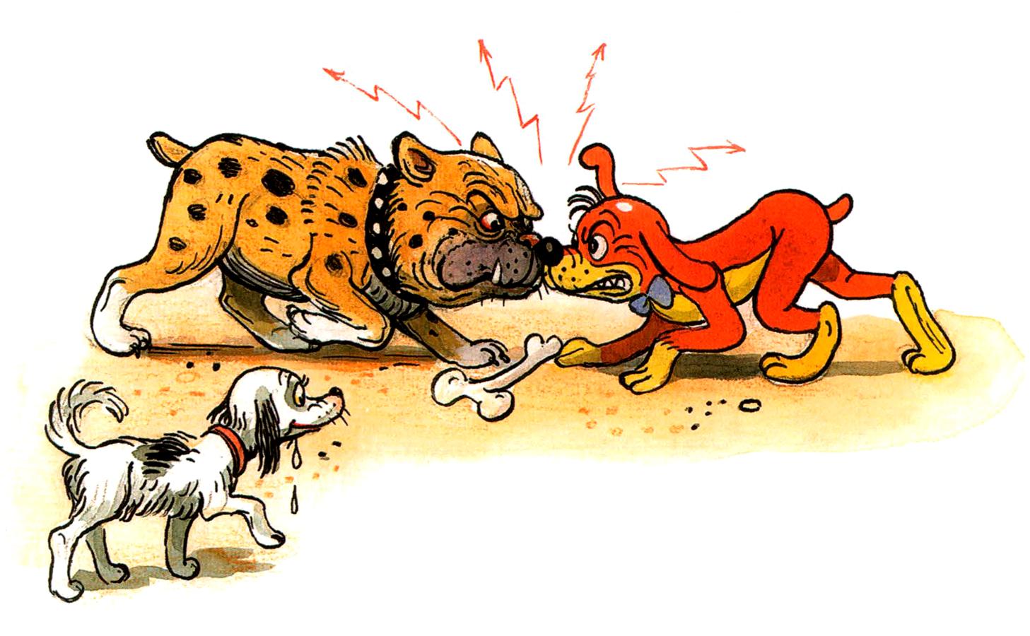 Собаки и кость