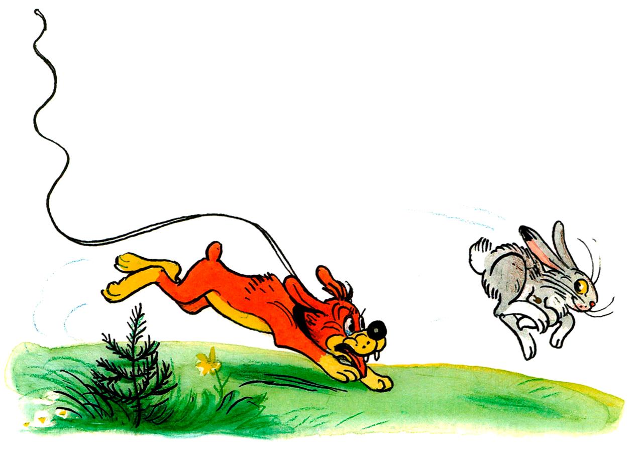 Пиф бежит за зайцем