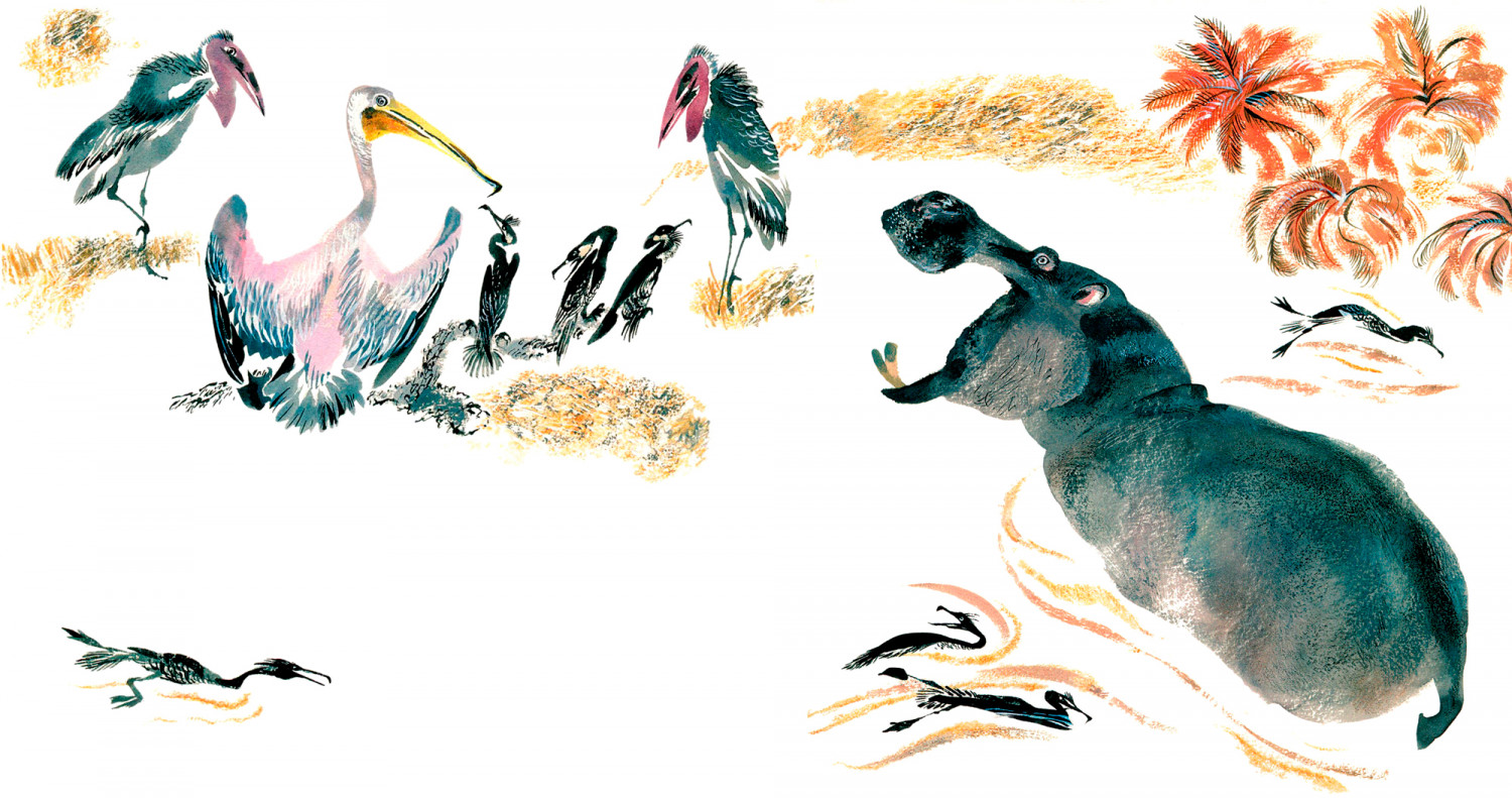 Бегемот и птички