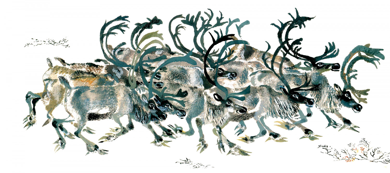 Стая оленей