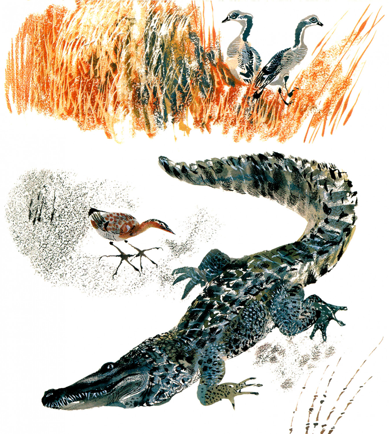 Крокодил в кустах