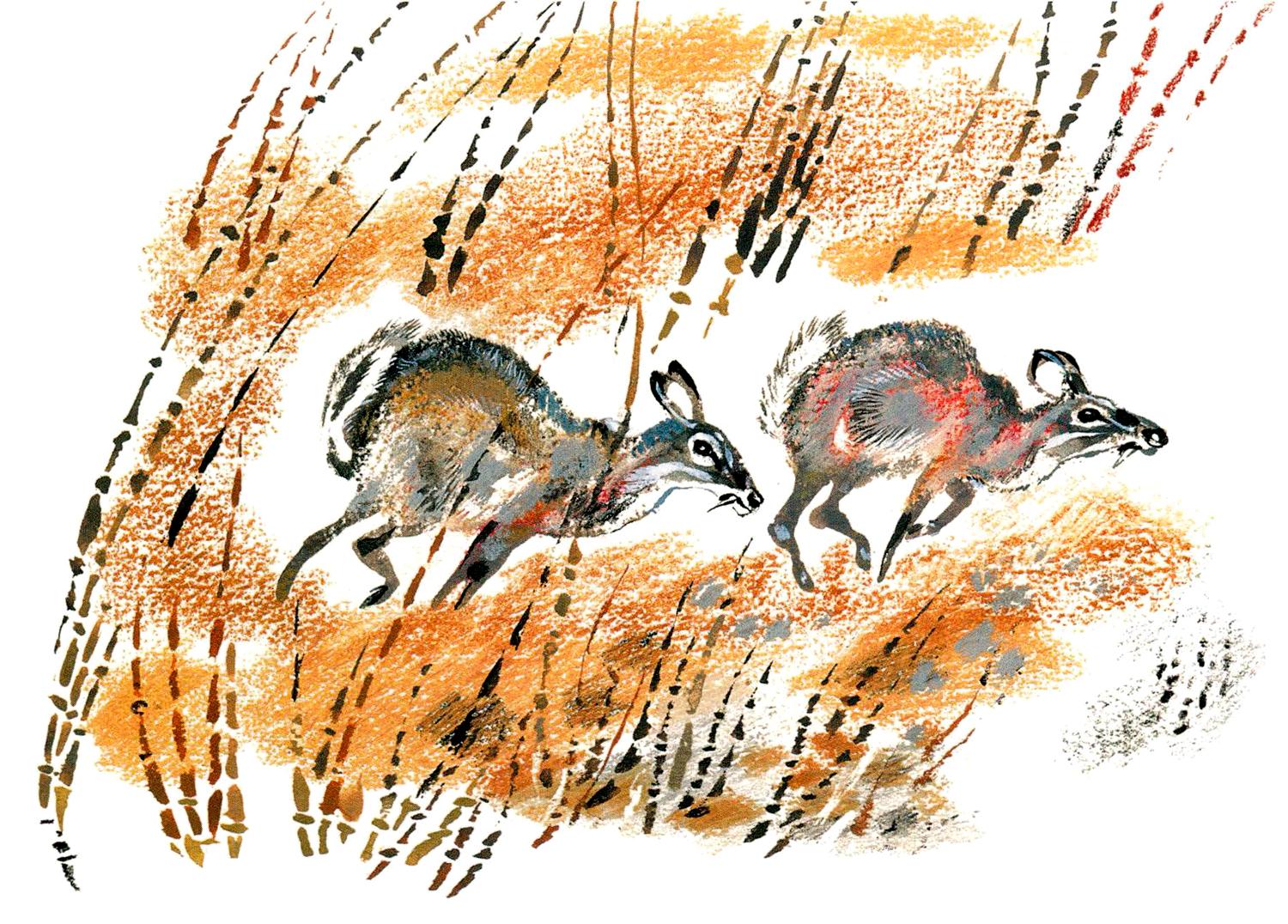 Две антилопы бегут