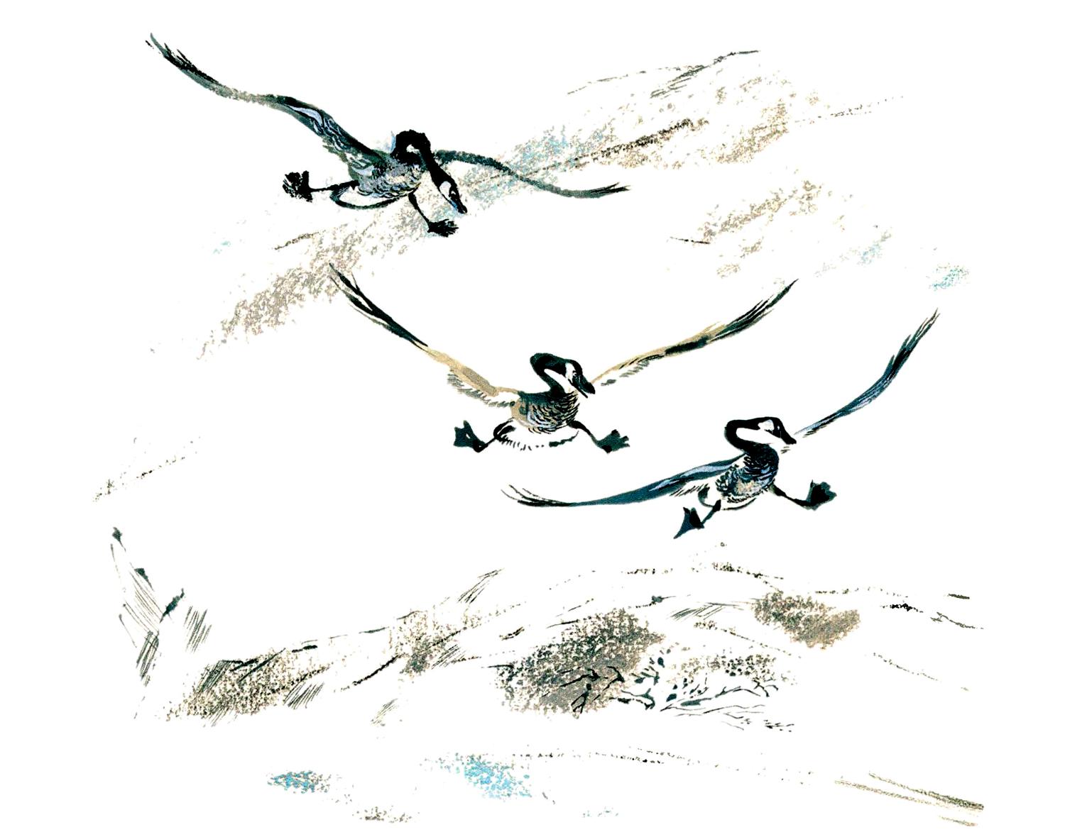 Три птицы в небе