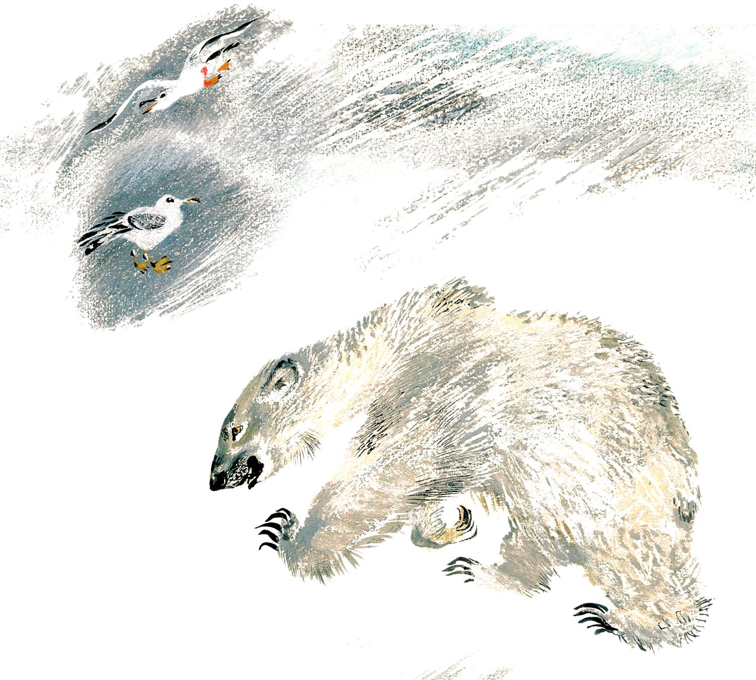 Злой белый медведь