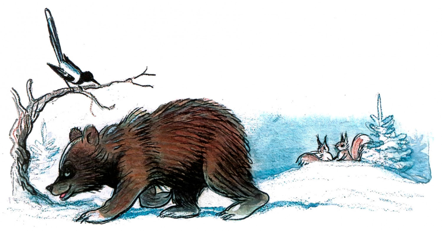 Медведь идет