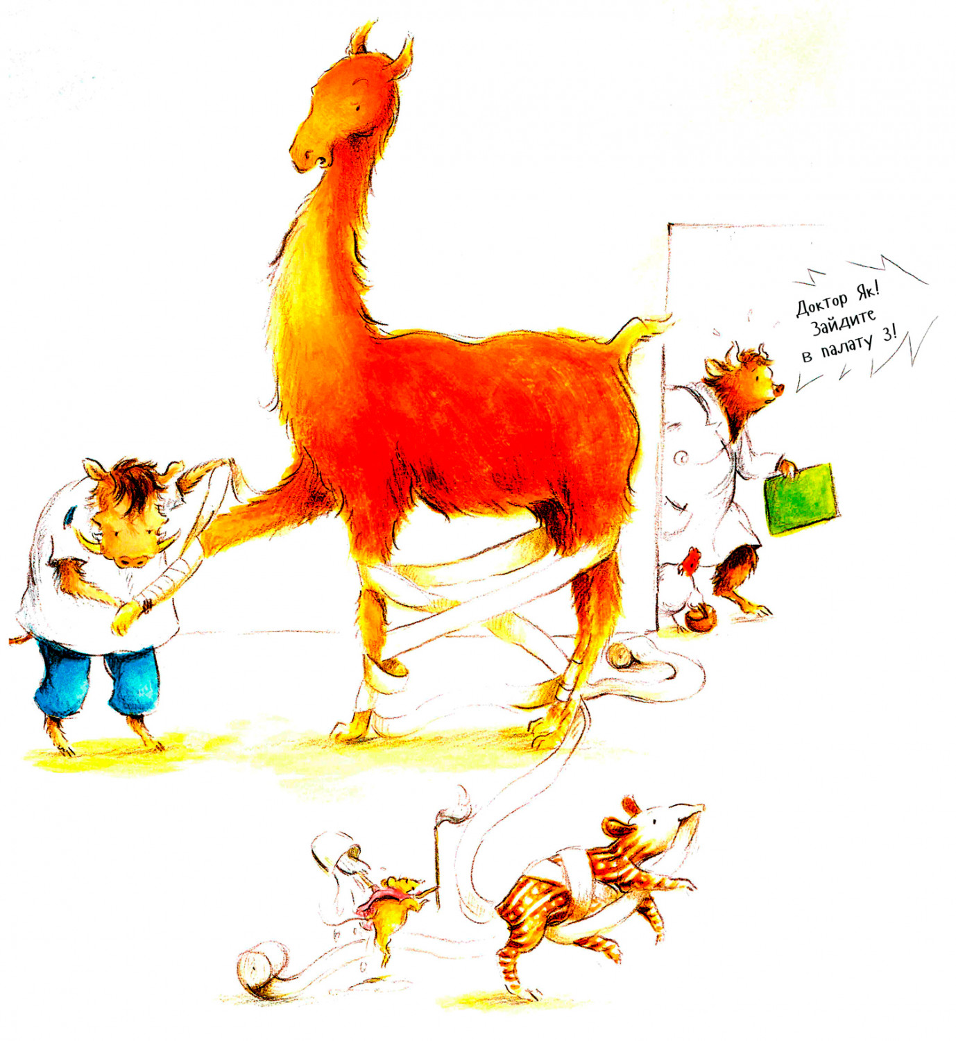 Кабан делает перевязку