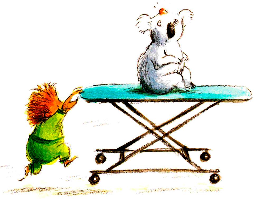 Коала с шишкой на голове