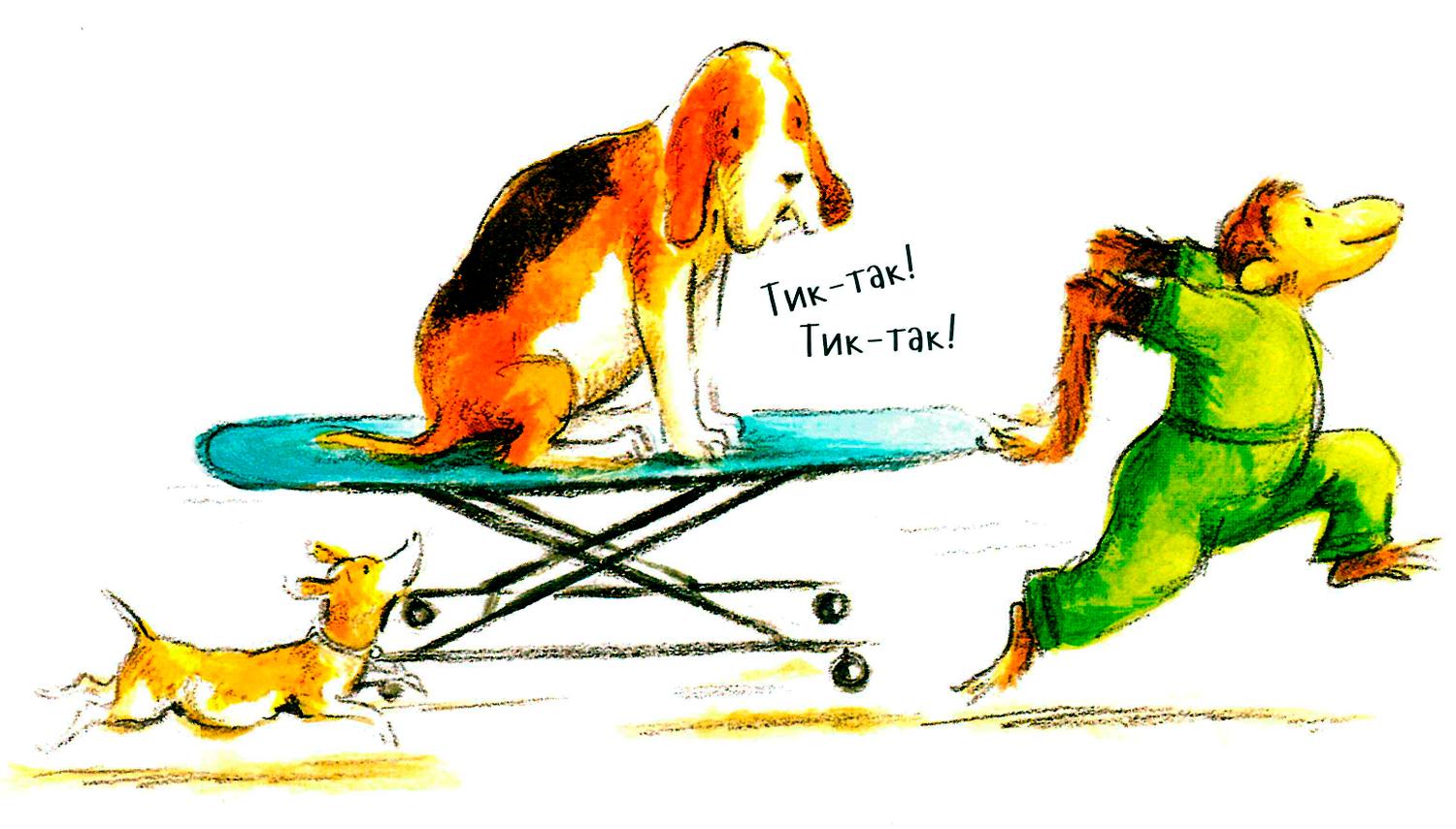 Пёс на носилках