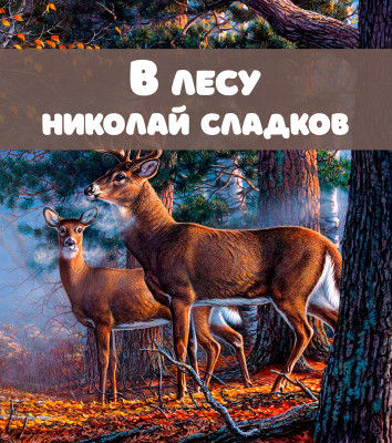 В лесу