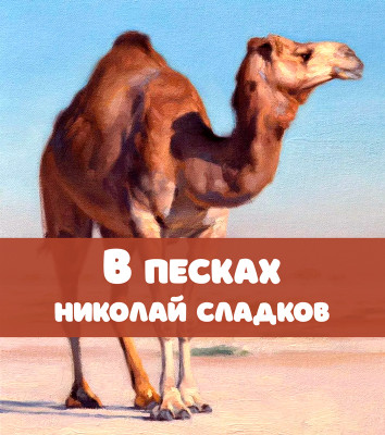 В песках