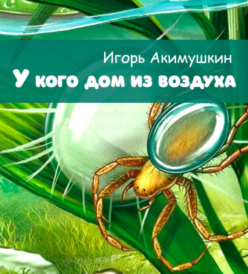 У кого дом из воздуха