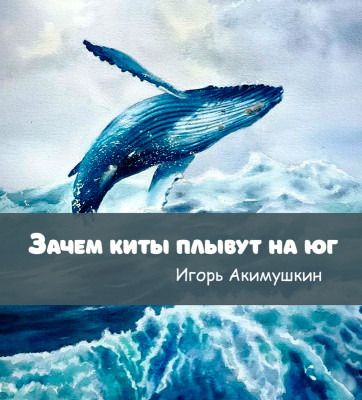 Зачем киты плывут на юг