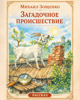 Загадочное происшествие