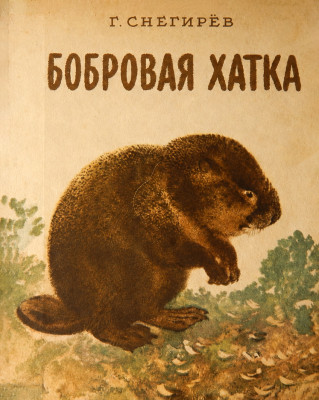 Бобровая хатка