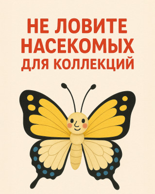 Не ловите насекомых для коллекций