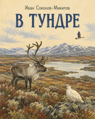 В тундре