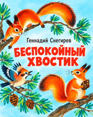 Беспокойный хвостик