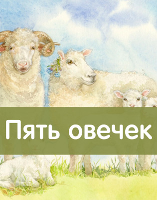 Пять овечек